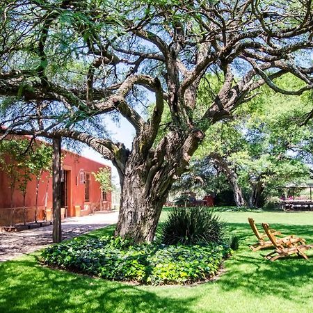 Puerta Del Lobo Villa Querétaro Rum bild