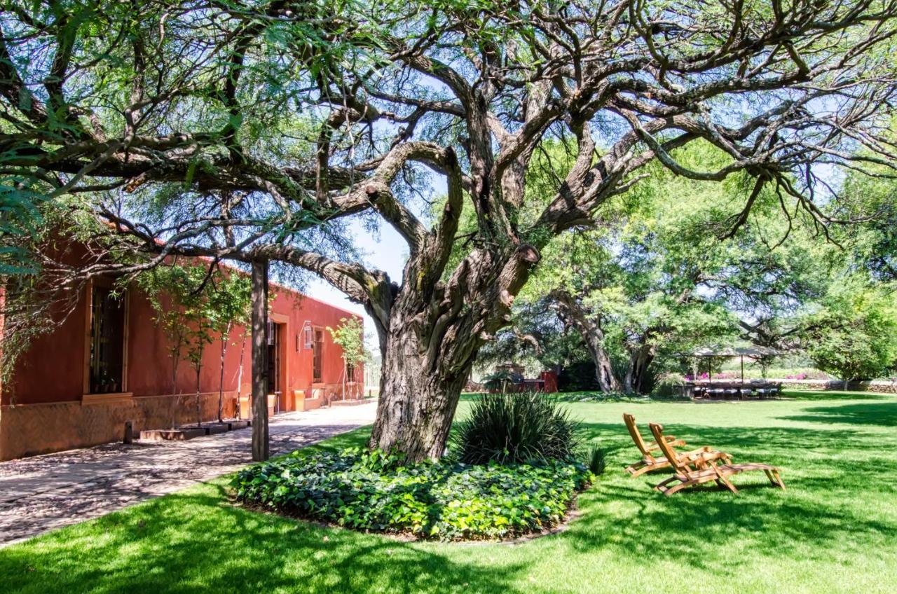 Puerta Del Lobo Villa Querétaro Rum bild